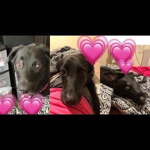 Please Help Ash Lynn Get Her Knee Surgery 💗💚